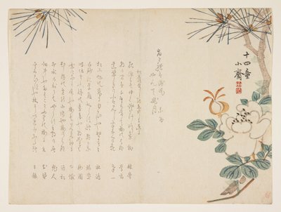 Pin et fleur de pivoine, 1860 - Tanomura Shsai